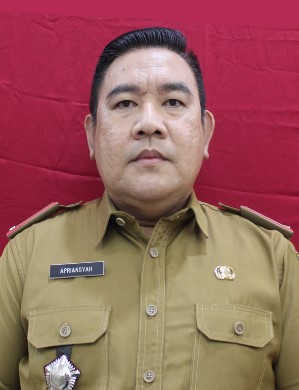 Foto Kepala Seksi Jembatan (UPTD Kab. Musi Rawas)